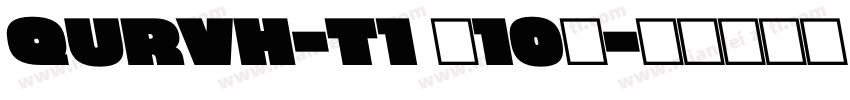 QURVH-T1 (10)字体转换